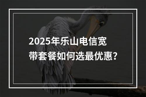 2025年乐山电信宽带套餐如何选最优惠？