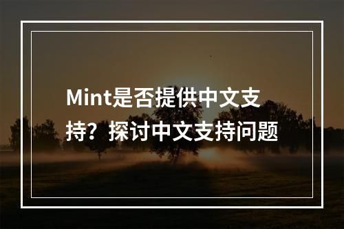 Mint是否提供中文支持?探讨中文支持问题