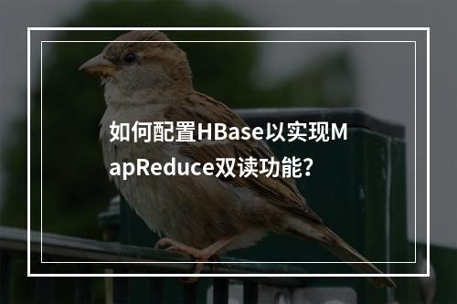 如何配置HBase以实现MapReduce双读功能?