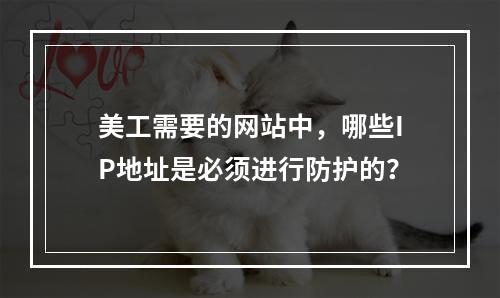 美工需要的网站中,哪些IP地址是必须进行防护的?