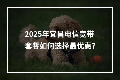 2025年宜昌电信宽带套餐如何选择最优惠？