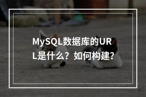 MySQL数据库的URL是什么?如何构建?