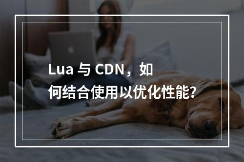 Lua 与 CDN,如何结合使用以优化性能?