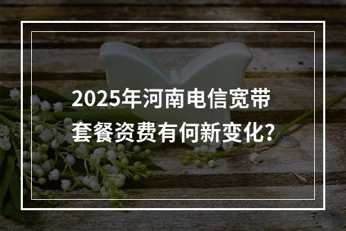 2025年河南电信宽带套餐资费有何新变化？