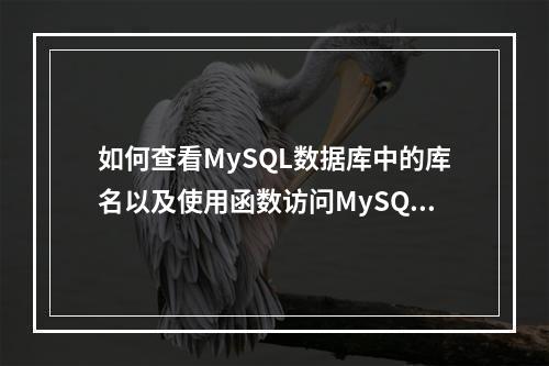 如何查看MySQL数据库中的库名以及使用函数访问MySQL数据库?