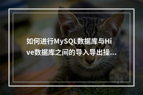 如何进行MySQL数据库与Hive数据库之间的导入导出操作?
