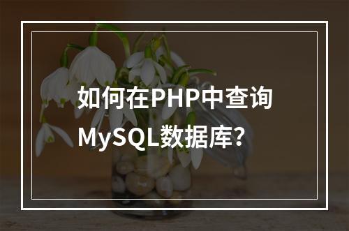 如何在PHP中查询MySQL数据库?