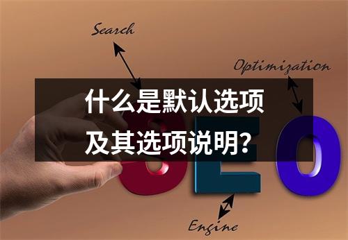 什么是默认选项及其选项说明?