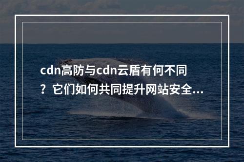 cdn高防与cdn云盾有何不同?它们如何共同提升网站安全性?