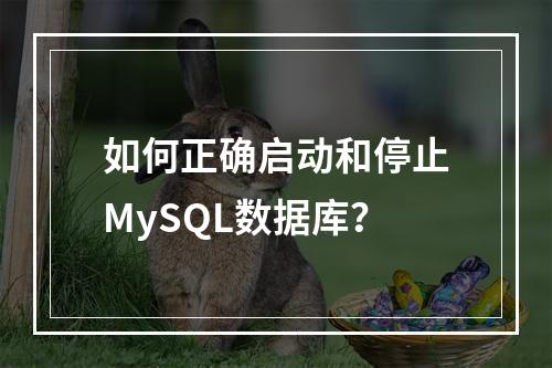 如何正确启动和停止MySQL数据库?