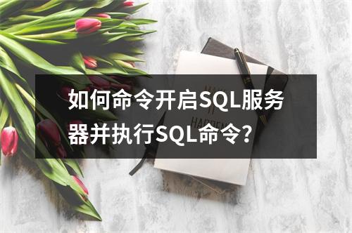 如何命令开启SQL服务器并执行SQL命令?