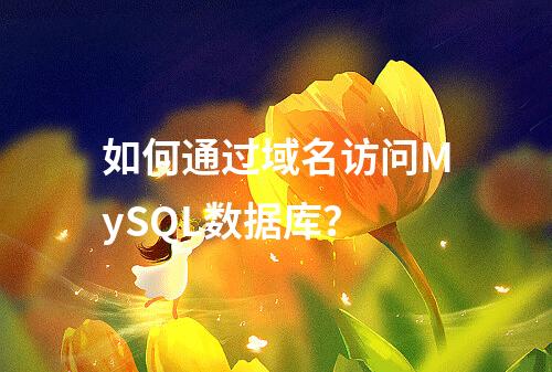 如何通过域名访问MySQL数据库?