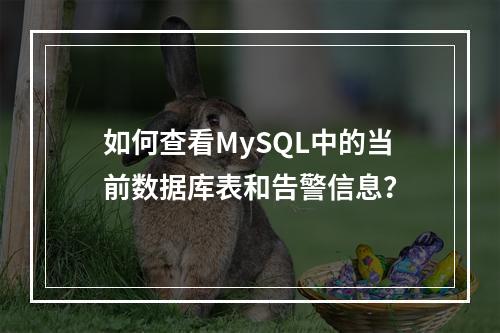 如何查看MySQL中的当前数据库表和告警信息?