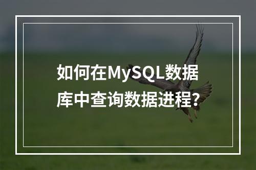 如何在MySQL数据库中查询数据进程?