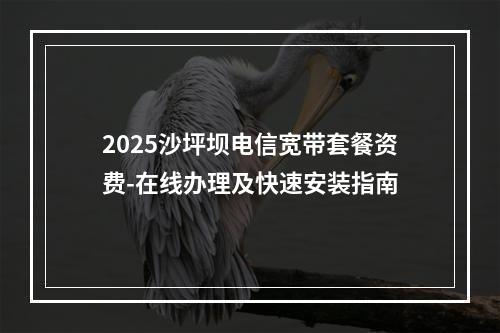 2025沙坪坝电信宽带套餐资费-在线办理及快速安装指南