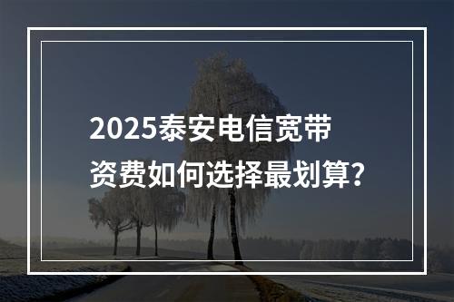 2025泰安电信宽带资费如何选择最划算？