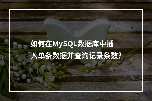 如何在MySQL数据库中插入单条数据并查询记录条数?