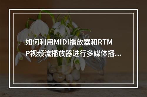 如何利用MIDI播放器和RTMP视频流播放器进行多媒体播放?