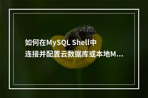 如何在MySQL Shell中连接并配置云数据库或本地MySQL数据库?