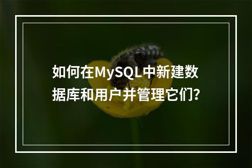 如何在MySQL中新建数据库和用户并管理它们?