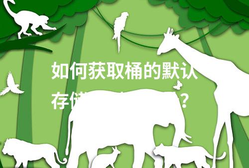 如何获取桶的默认存储类型及地址?