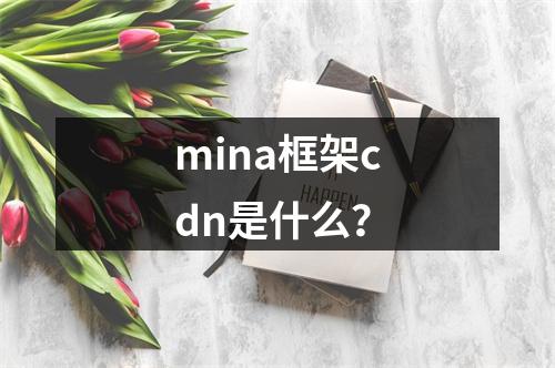 mina框架cdn是什么?