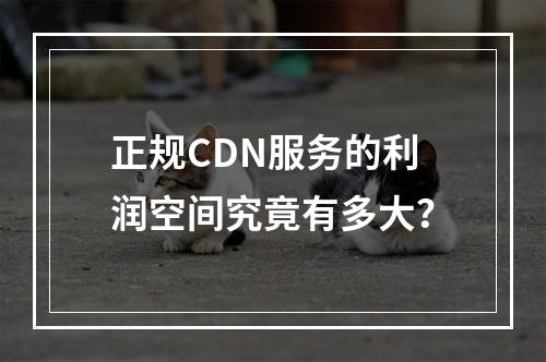 正规CDN服务的利润空间究竟有多大?