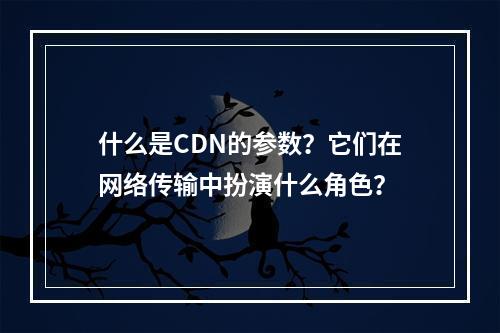 什么是CDN的参数?它们在网络传输中扮演什么角色?