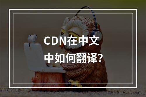 CDN在中文中如何翻译?