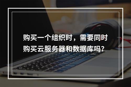 购买一个组织时,需要同时购买云服务器和数据库吗?