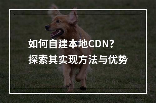 如何自建本地CDN?探索其实现方法与优势