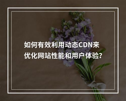 如何有效利用动态CDN来优化网站性能和用户体验?