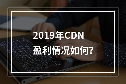 2019年CDN盈利情况如何?