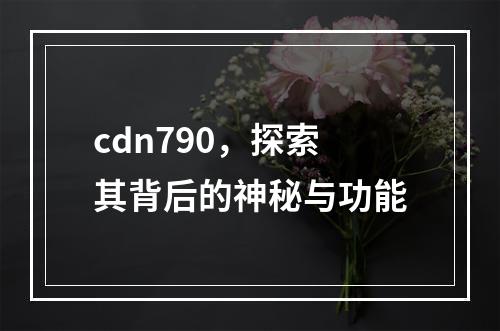 cdn790,探索其背后的神秘与功能