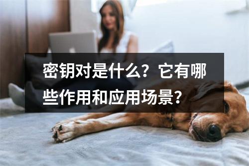 密钥对是什么?它有哪些作用和应用场景?