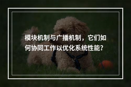 模块机制与广播机制,它们如何协同工作以优化系统性能?