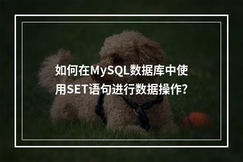 如何在MySQL数据库中使用SET语句进行数据操作?