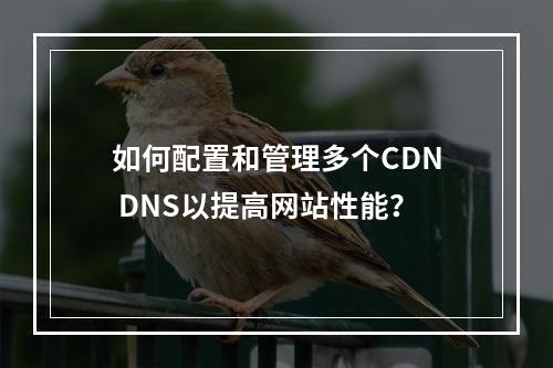 如何配置和管理多个CDN DNS以提高网站性能?