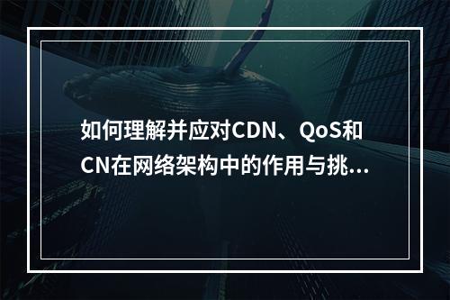 如何理解并应对CDN、QoS和CN在网络架构中的作用与挑战?