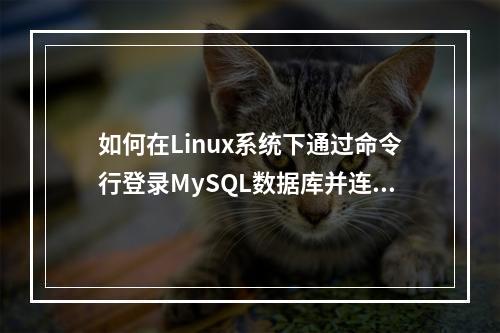 如何在Linux系统下通过命令行登录MySQL数据库并连接到公网上的RDS for MySQL实例?