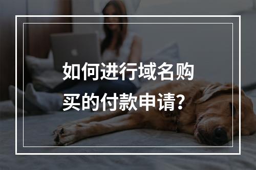 如何进行域名购买的付款申请?