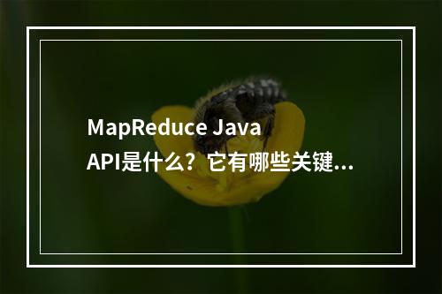 MapReduce Java API是什么?它有哪些关键接口和功能?