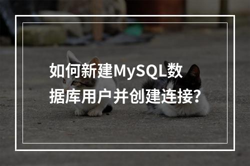 如何新建MySQL数据库用户并创建连接?