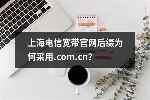上海电信宽带官网后缀为何采用.com.cn？