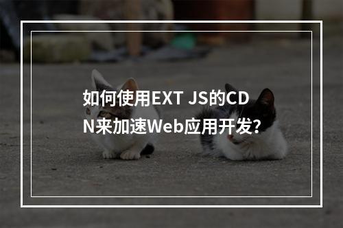 如何使用EXT JS的CDN来加速Web应用开发?