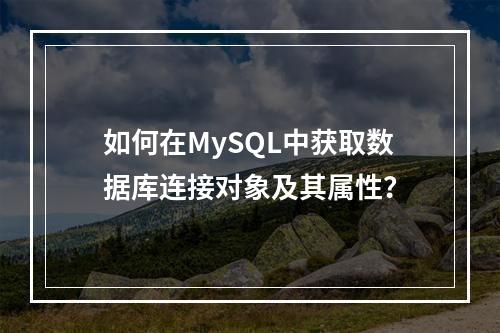 如何在MySQL中获取数据库连接对象及其属性?