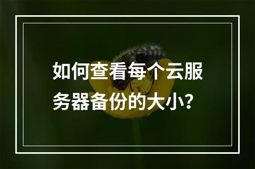 如何查看每个云服务器备份的大小?