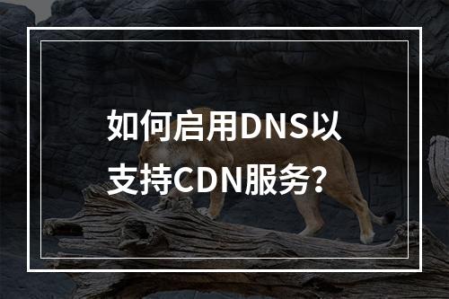 如何启用DNS以支持CDN服务?