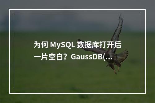 为何 MySQL 数据库打开后一片空白?GaussDB(for MySQL)是否支持打开 general?