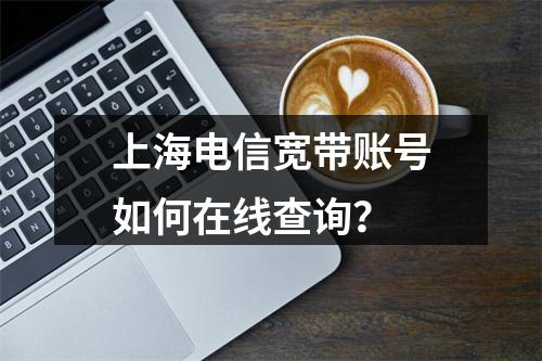 上海电信宽带账号如何在线查询？